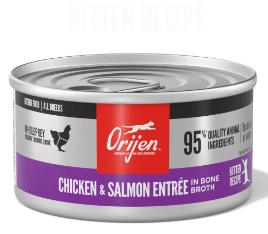 ORI Pate kitten